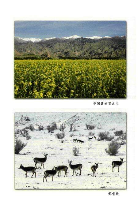 《拜城风物志》.pdf_新疆维吾尔自治区志预览图5