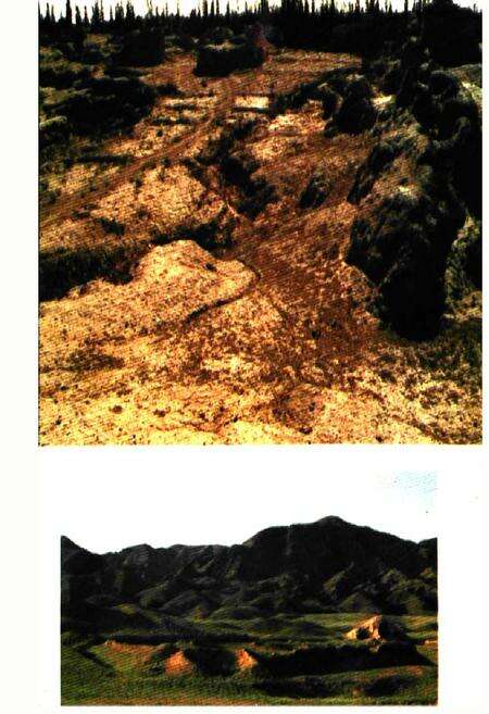 《哈密文物志》.pdf_新疆维吾尔自治区志预览图4