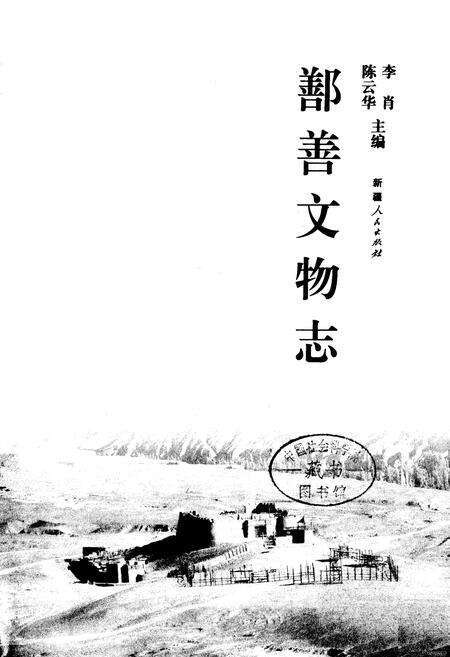 《《鄯善文物志》》.pdf_新疆维吾尔自治区志预览图1