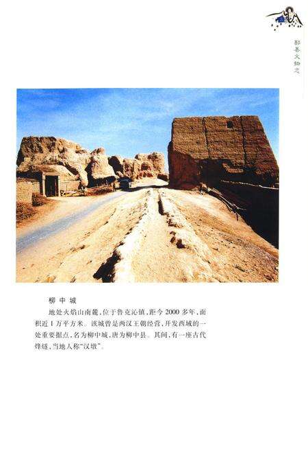 《《鄯善文物志》》.pdf_新疆维吾尔自治区志预览图4