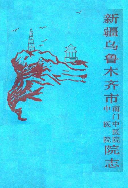 《《新疆乌鲁木齐市南门中医院·中医院志》》.pdf_新疆维吾尔自治区志缩略图