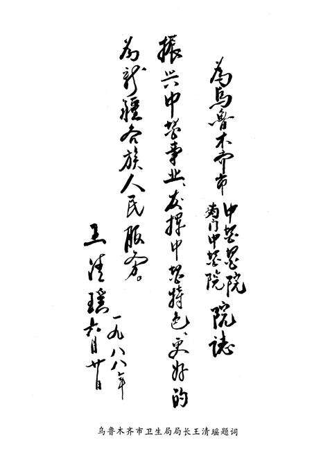 《《新疆乌鲁木齐市南门中医院·中医院志》》.pdf_新疆维吾尔自治区志预览图4