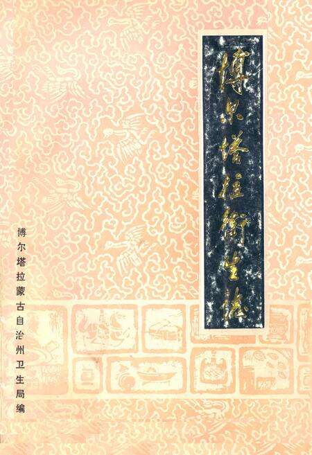 《《博尔塔拉卫生志》》.pdf_新疆维吾尔自治区志缩略图