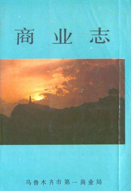 《乌鲁木齐市商业志》.pdf_新疆维吾尔自治区志缩略图