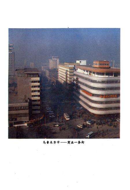 《乌鲁木齐市商业志》.pdf_新疆维吾尔自治区志预览图2