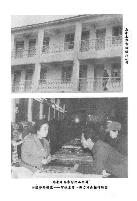 《乌鲁木齐市商业志》.pdf_新疆维吾尔自治区志预览图5