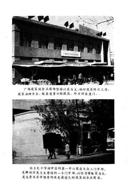 《乌鲁木齐蔬菜志》.pdf_新疆维吾尔自治区志预览图5