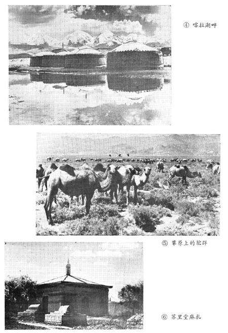 《克孜勒苏柯尔克孜自治州概况》.pdf_新疆维吾尔自治区志预览图4