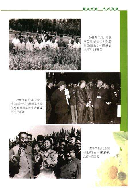 《新疆生产建设兵团农业志》.pdf_新疆维吾尔自治区志预览图4