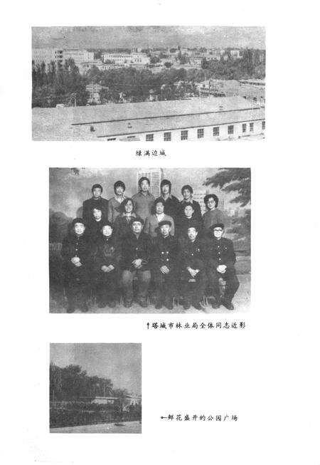 《塔城市林业志》.pdf_新疆维吾尔自治区志预览图3