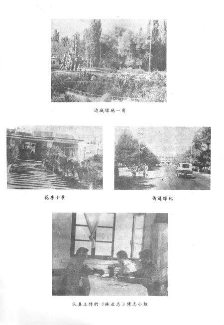 《塔城市林业志》.pdf_新疆维吾尔自治区志预览图4