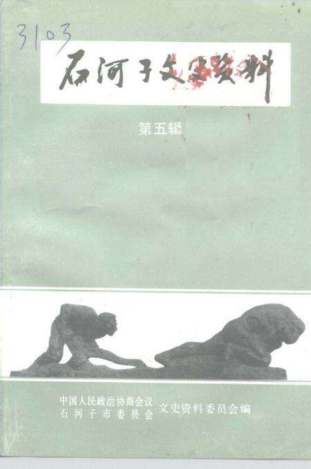 《石河子文史资料  第5辑》.pdf_新疆维吾尔自治区志缩略图