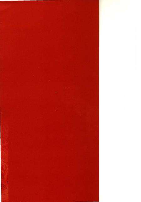 《农十二师头屯河农场简史》.pdf_新疆维吾尔自治区志预览图1