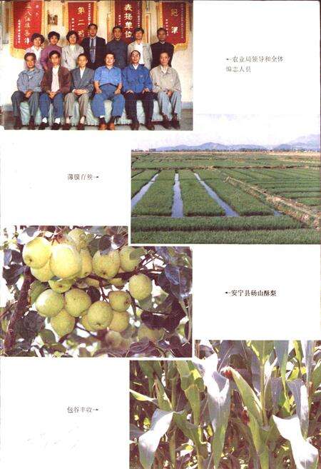 《昆明市农业志》.pdf_云南省志预览图3