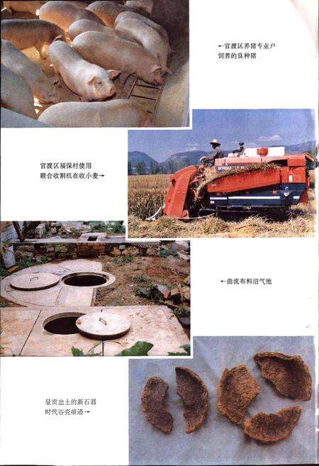 《昆明市农业志》.pdf_云南省志预览图4