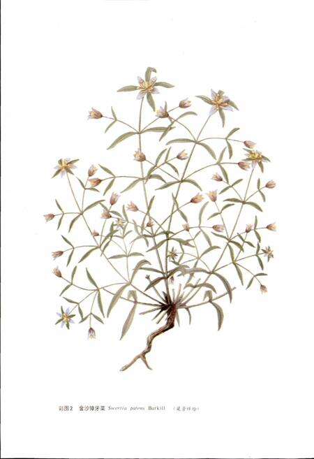 《云南中药志》.pdf_云南省志预览图4