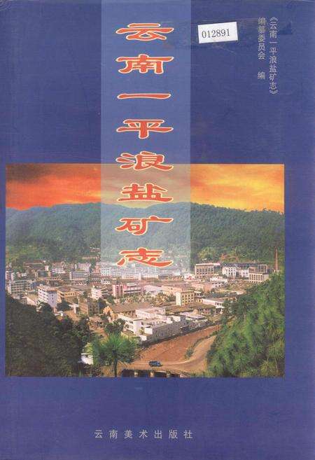 《云南一平浪盐矿志》.pdf_云南省志缩略图