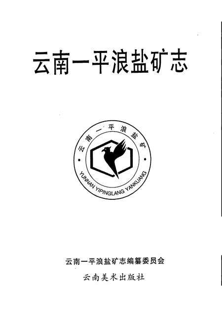 《云南一平浪盐矿志》.pdf_云南省志预览图1