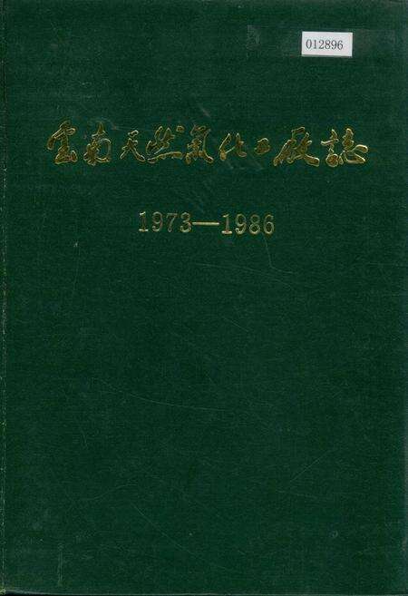 《云南天然气化工厂志》.pdf_云南省志缩略图