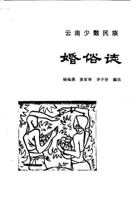 《云南少数民族婚俗志》.pdf_云南省志预览图1
