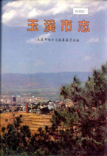 《玉溪市志》.pdf_云南省志缩略图