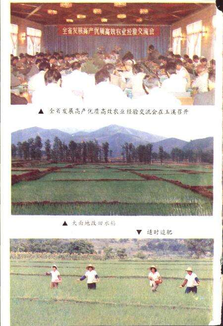 《玉溪地区农业志》.pdf_云南省志预览图3