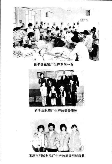 《云南省玉溪地区城乡集体企业志》.pdf_云南省志预览图5