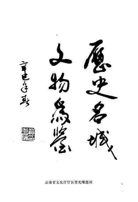 《会泽县文物志》.pdf_云南省志预览图5