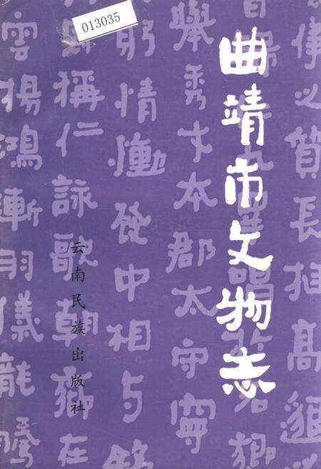 《曲靖市文物志》.pdf_云南省志缩略图