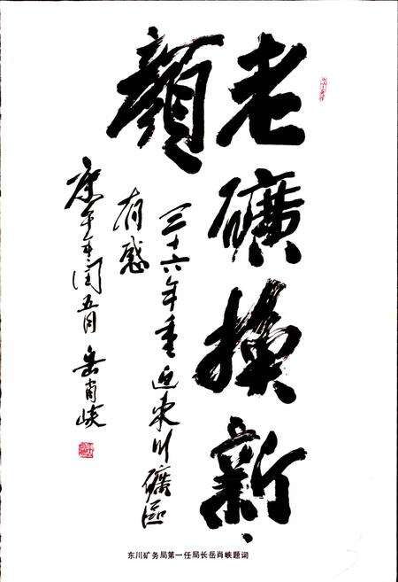 《东川铜矿志》.pdf_云南省志预览图3