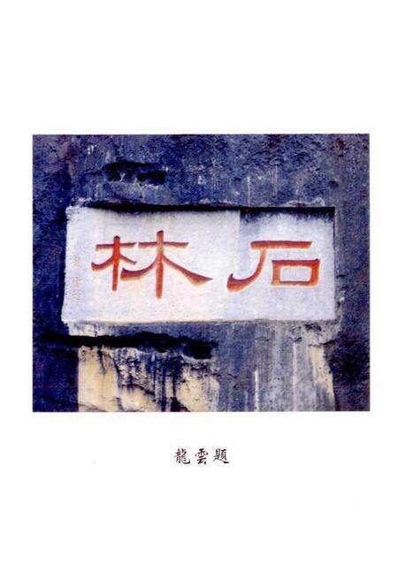 《石林文物志》.pdf_云南省志预览图2