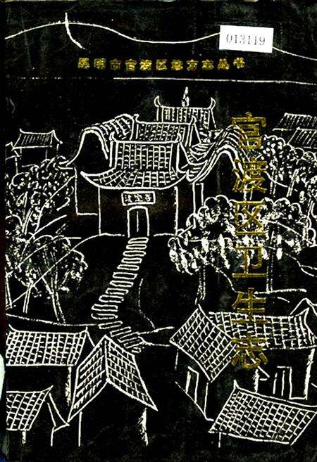 《官渡区卫生志》.pdf_云南省志缩略图