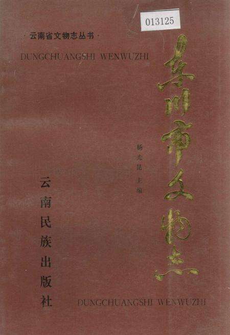 《东川市文物志》.pdf_云南省志缩略图