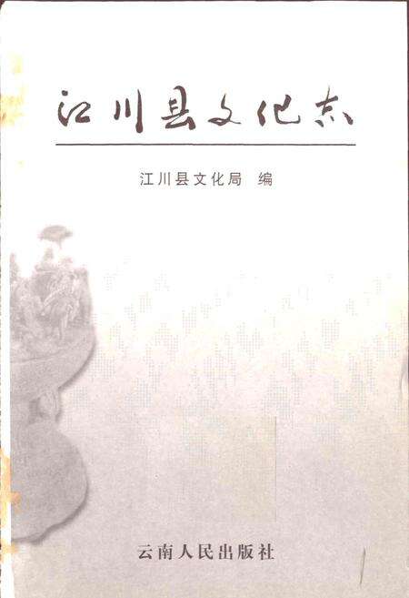 《江川县文化志》.pdf_云南省志预览图1
