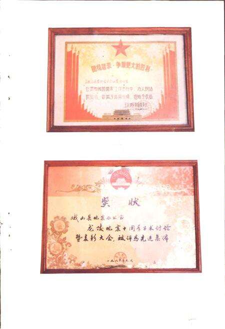 《峨山彝族自治县地震志》.pdf_云南省志预览图5