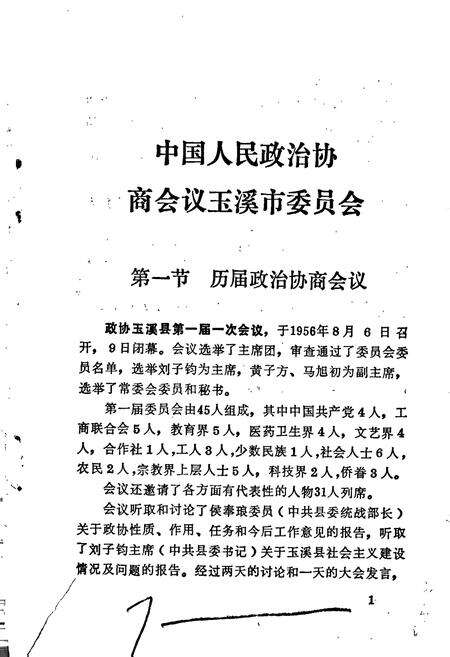 《玉溪市政协简志·妇联志》.pdf_云南省志预览图5