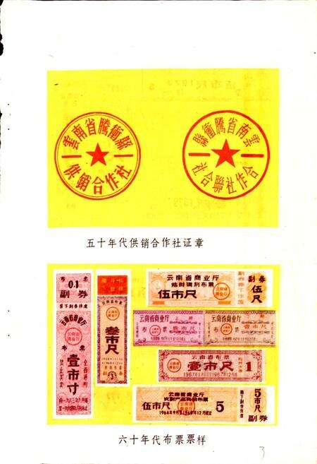 《腾冲县供销社志》.pdf_云南省志预览图3