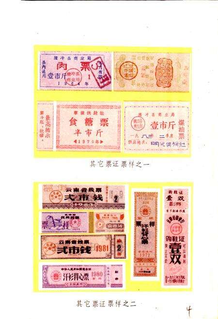 《腾冲县供销社志》.pdf_云南省志预览图5