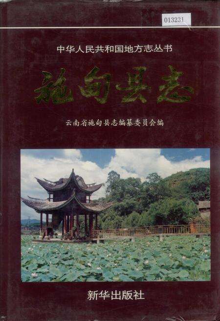 《施甸县志》.pdf_云南省志缩略图