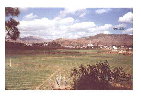 《丙麻乡志》.pdf_云南省志预览图5