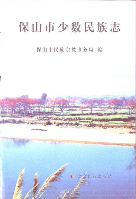 《保山市少数民族志》.pdf_云南省志预览图1