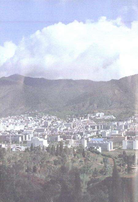 《新平电力工业志》.pdf_云南省志预览图2