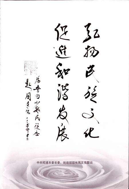 《鲁甸县少数民族志》.pdf_云南省志预览图3