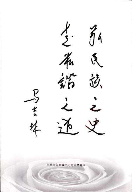 《鲁甸县少数民族志》.pdf_云南省志预览图4