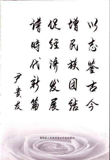 《鲁甸县少数民族志》.pdf_云南省志预览图5