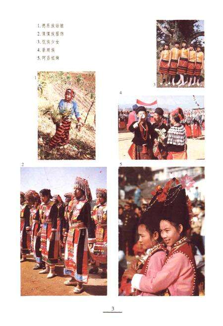 《新编德宏风物志》.pdf_云南省志预览图3