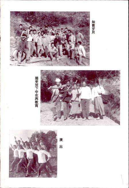 《瑞丽知青志》.pdf_云南省志预览图1