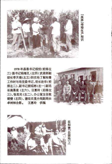 《瑞丽知青志》.pdf_云南省志预览图2