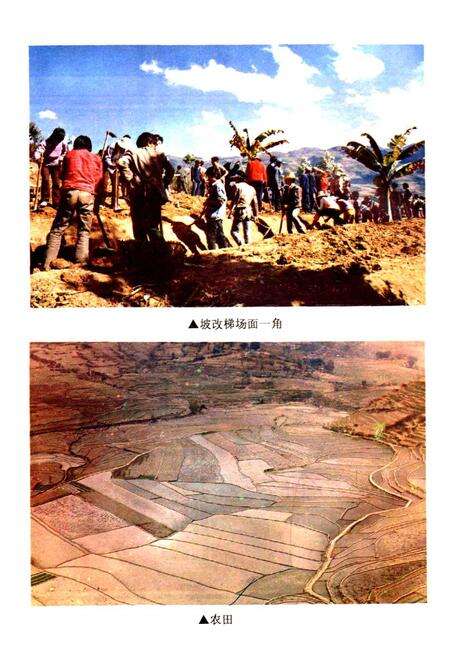 《凤庆县农业志》.pdf_云南省志预览图5