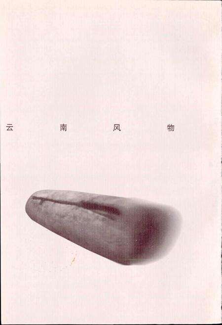 《新编临沧风物志》.pdf_云南省志预览图2